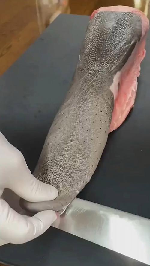 牛舌头怎么去皮图解_清洗焯水刮舌苔，口感更佳