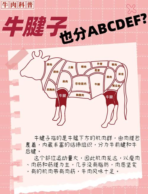 牛哪个部位比较嫩_牛肉不同部位做法，炒炖烤卤都适合