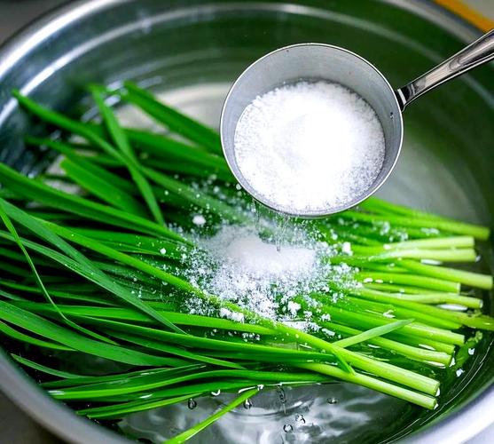 韭菜怎么洗的干净_盐水苏打淘米水泡，切掉根部更安心！