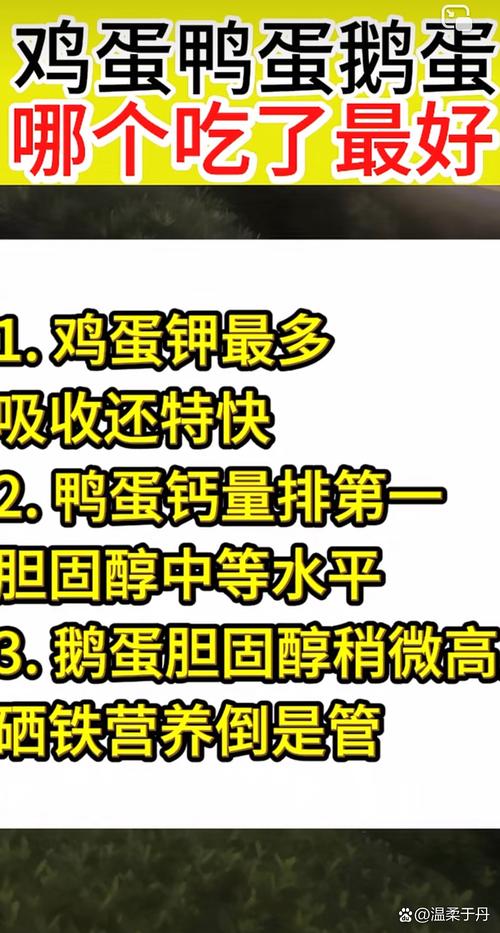 鸡蛋鸭蛋鹅蛋区别营养_鸡蛋鸭蛋鹅蛋怎么选？
