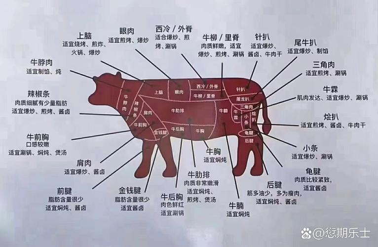 牛肉雪花部位图图解_雪花牛肉部位不同做法不同
