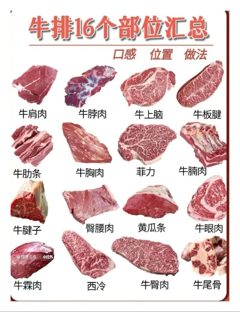 牛排是牛的哪部分肉_牛排部位决定口感，上脑眼肉西冷菲力各有所长