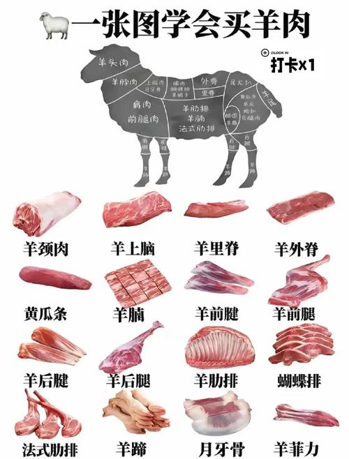 涮羊肉的肉是哪个部位_涮羊肉优选部位，嫩香弹牙，火锅必备！