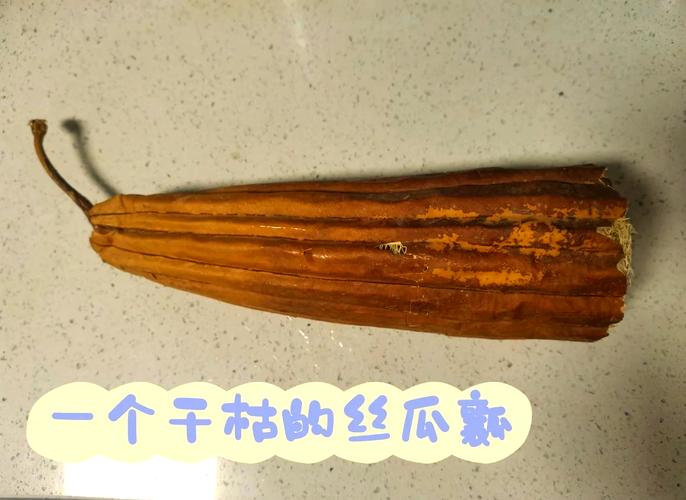 丝瓜瓤的外皮怎么去掉_丝瓜瓤去皮妙招多，洗碗洗脸样样行