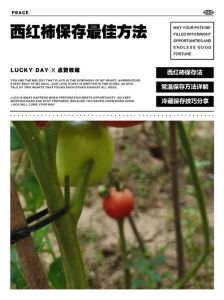 西红柿该怎么保存_青熟不同放，冷藏冷冻皆可