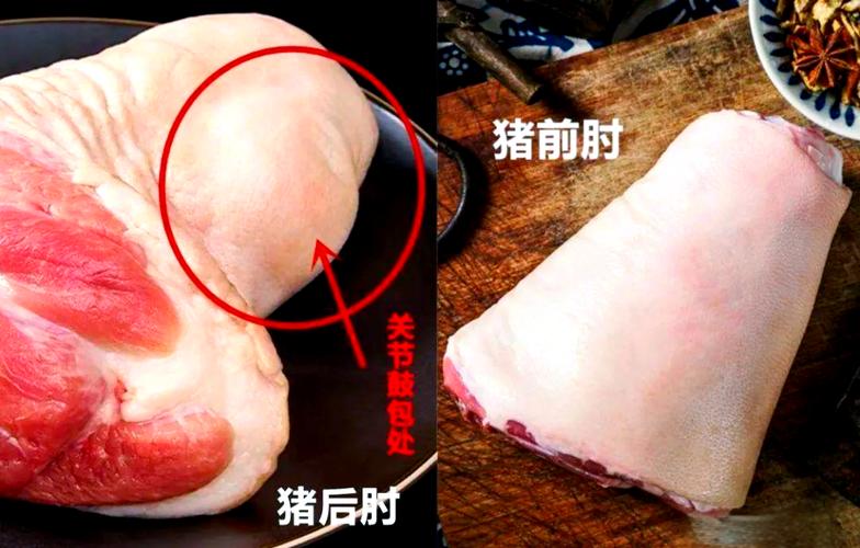 猪肘子的正确位置图_猪脚肘子怎么分？肉香做法大不同！