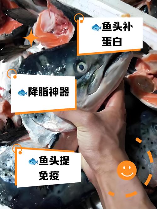 鱼头对着谁顺口溜是什么_鱼头朝向玄机多，餐桌文化显尊重