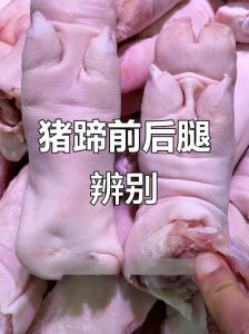 猪脚跟猪肘是一个吗_猪脚猪肘有啥区别？吃法营养大不同！