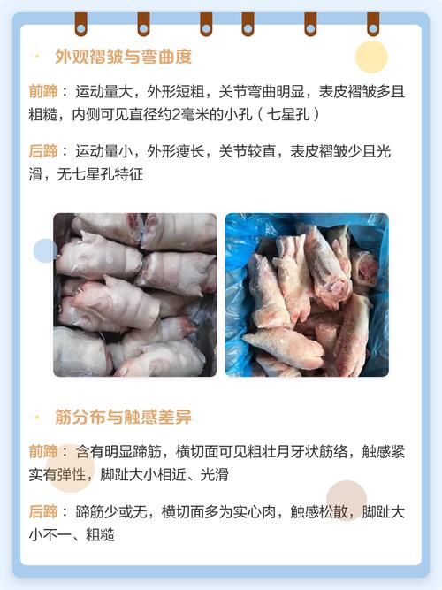 猪蹄怎么分前后蹄图解_如何区分前后猪蹄？看弯曲小孔颜色！