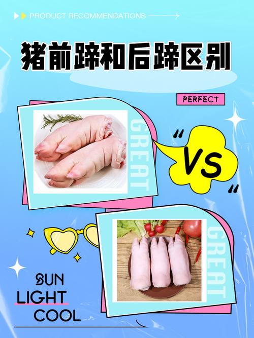 猪蹄前后脚区分图解_前蹄卤煮后蹄煲汤