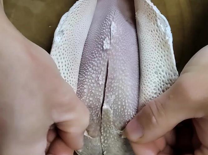 生牛舌怎么去皮图解_清洗焯水刮舌苔，牛舌软糯做法