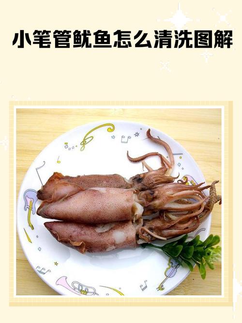 小鱿鱼怎么处理干净_清洗鱿鱼用盐醋去墨，晾干防虫易保存