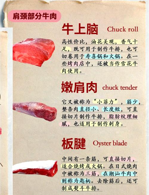 爽口嫩肉是牛那个部位_牛肉不同部位做法大不同