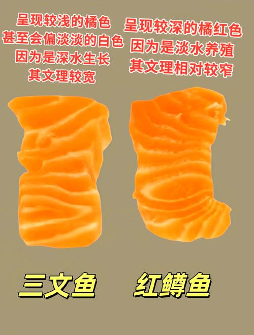 三文鱼和虹鳟鱼肉对比图_虹鳟鱼才是真主角，价格实惠又安全！