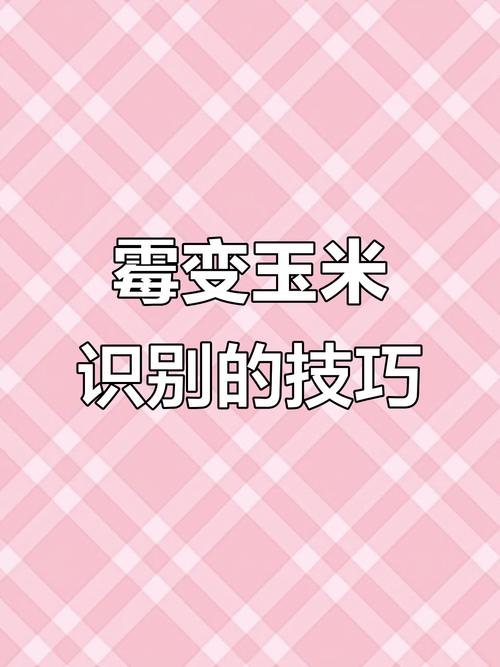 怎么判断玉米面坏了_看色闻味触质，霉变勿食保安全