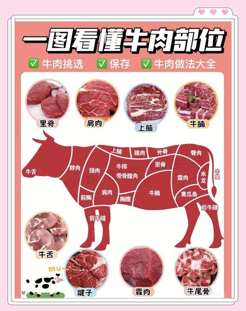 嫩牛肉是哪个部位_快火牛里脊，慢炖牛腩腱，吃对才美味！