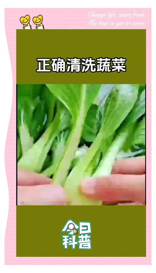 韭菜怎么清洗最干净_韭菜清洗有妙招，安全美味吃得到！