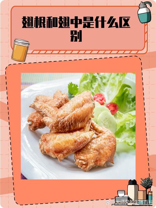 翅中是哪个部位图解_肉质饱满，煎炖皆宜的佳选