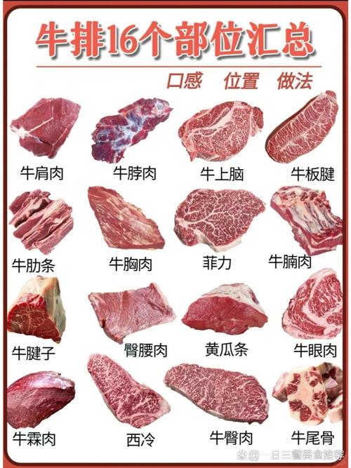 牛里脊肉是哪个部位_牛里脊嫩滑做法，爆炒涮火锅绝配！