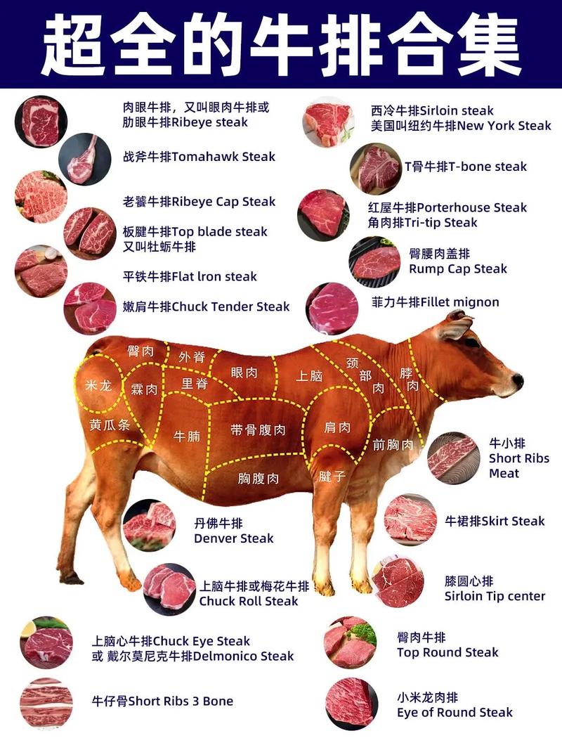 牛肉雪花部位图图解_雪花牛肉部位不同做法不同