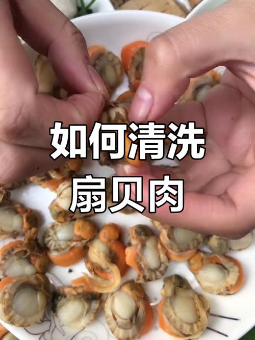 扇贝肉怎么清洗图解_清洗扇贝方法，蒸炒皆美味