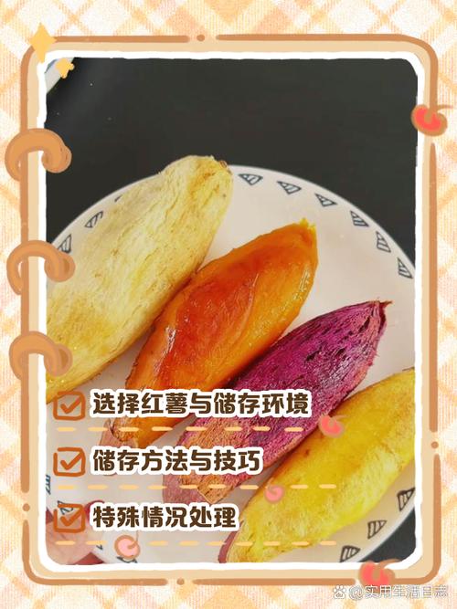 红薯能放冰箱保存吗_红薯放冰箱保存有讲究，别搞错了！