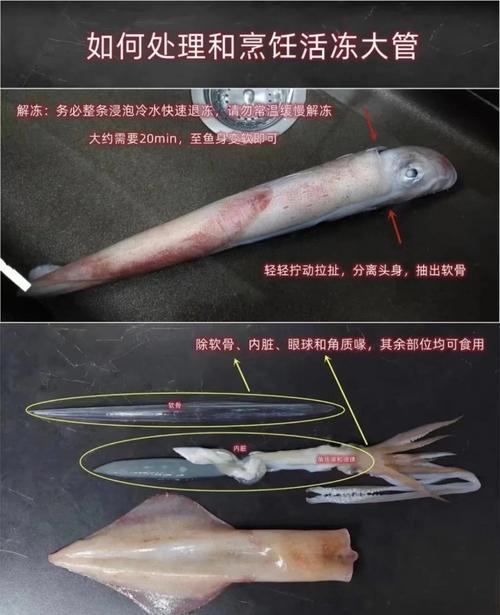 鱿鱼头怎么处理图解_清洗鱿鱼有技巧，炸炒做法都美味！