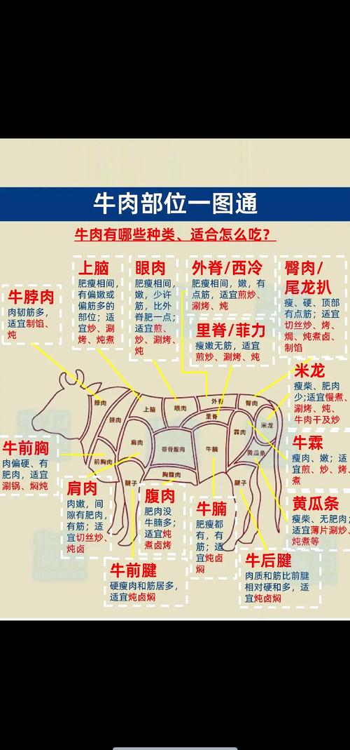 牛肉最嫩的部位_嫩香烂低脂怎么选？