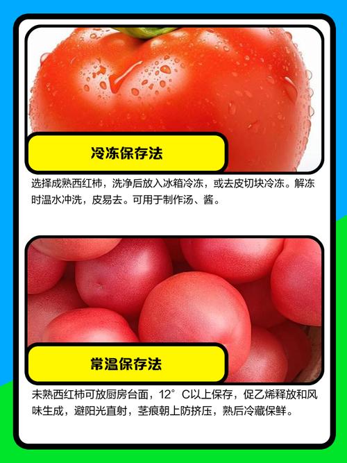 大量西红柿怎么保存_冷冻西红柿做法与保存技巧