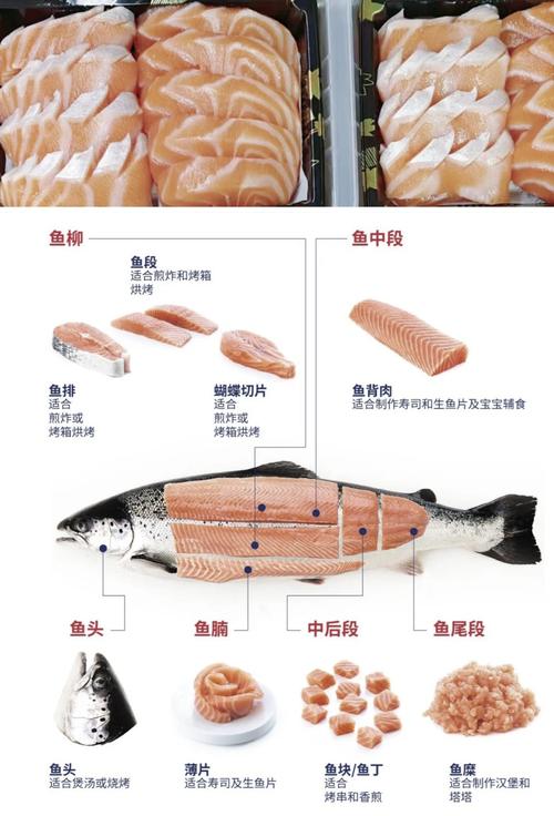 鱼腩是哪个部位图片_鲜嫩营养，美味佳肴！