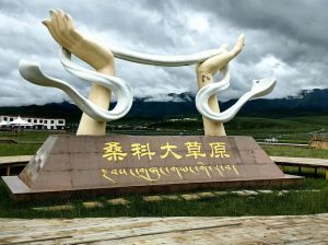 甘肃十大草原排名榜_西梅朵合塘到张吕牧场风光集锦