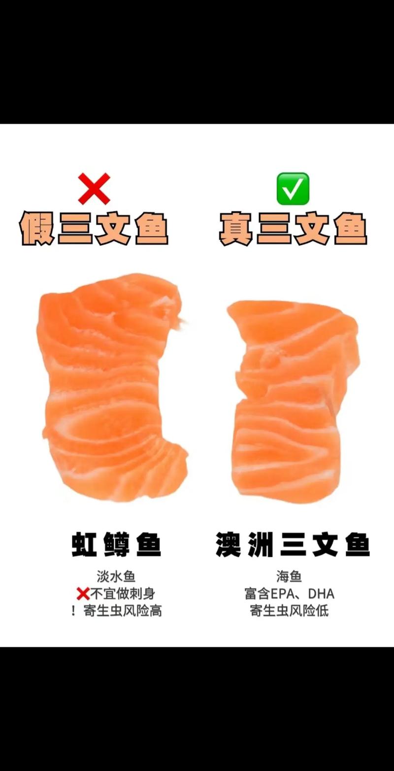 虹鳟三文鱼肉对比图_外形肉质口感大不同