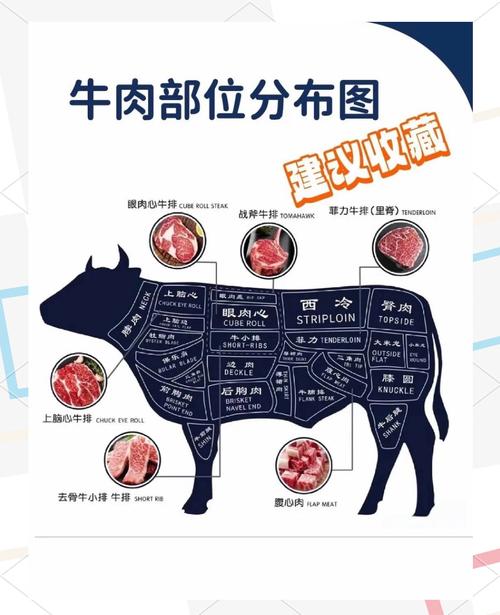 牛排部位名称大全图解_牛肉部位各不同，烹饪方式要选对！