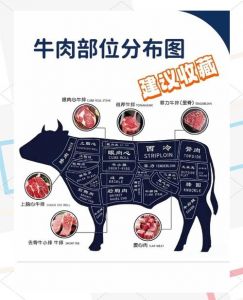 牛排部位名称大全图解_牛肉部位各不同，烹饪方式要选对！