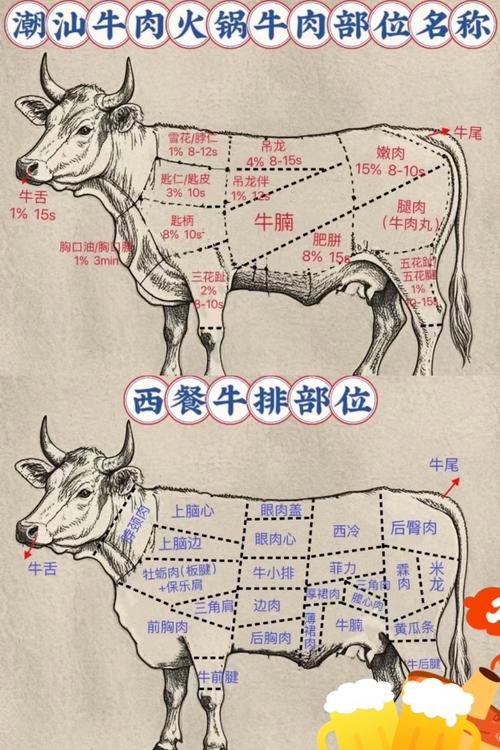 吊龙肉牛哪个部位图解_高端火锅的23倍奢华！