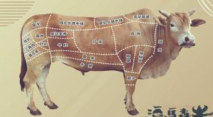 牛全身部位图解_牛骨部位决定肉质与烹饪方法