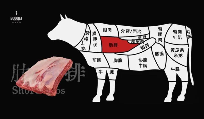 肉眼牛排部位示意图_肉眼牛排怎么煎最香嫩？