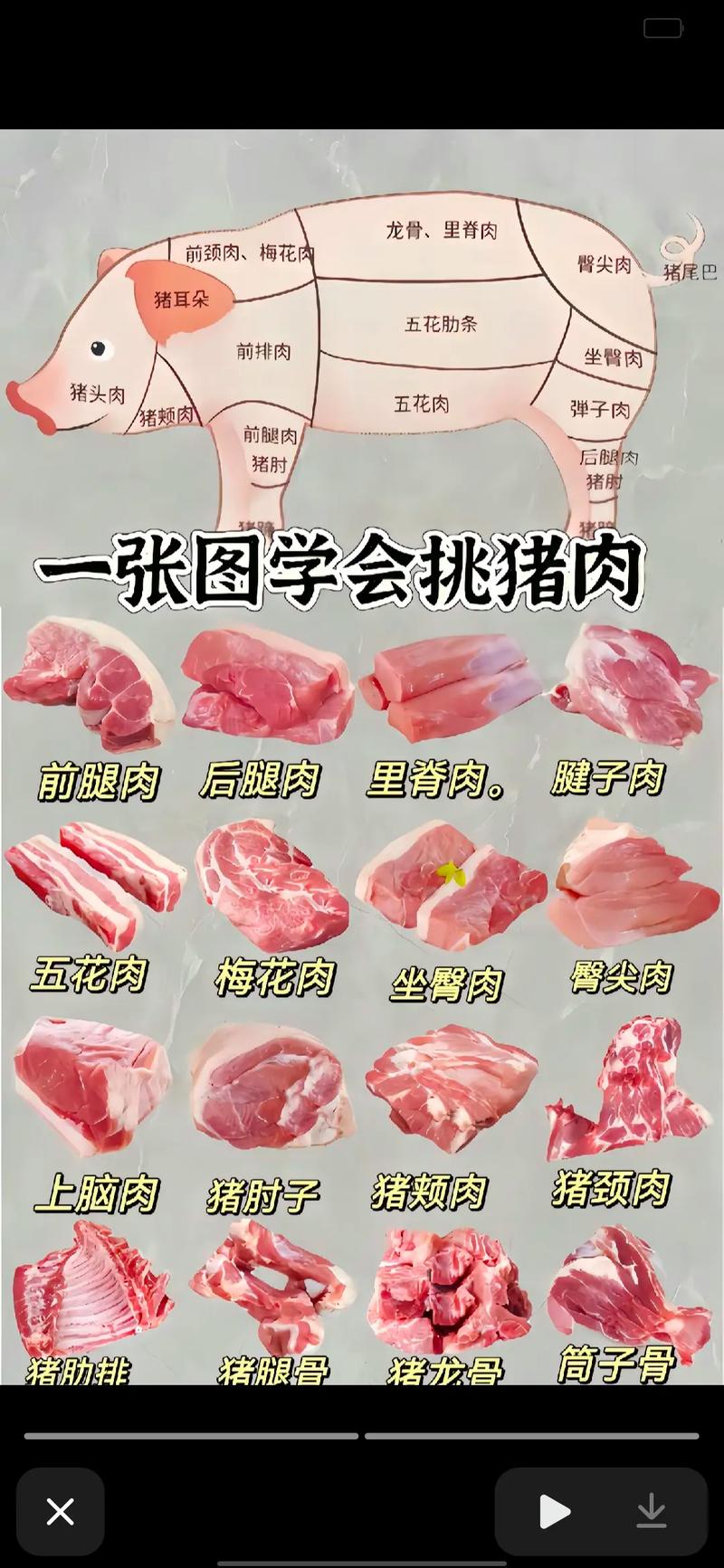 猪身上的腱子肉位置图_紧实有嚼劲的美味部位！