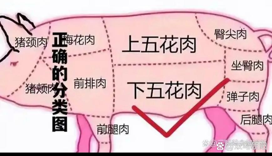 猪的夹心肉部位图解_前腿肉丸里脊炸炒后腿多烹