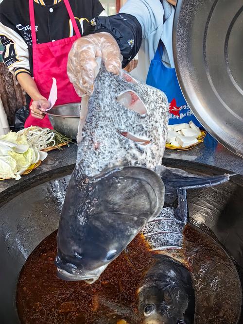 大连人说的胖头鱼是什么鱼_鲜美不碎，餐桌常客