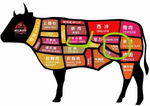 牛肉的全身部位图解_里脊煎肩肉炖上脑炒