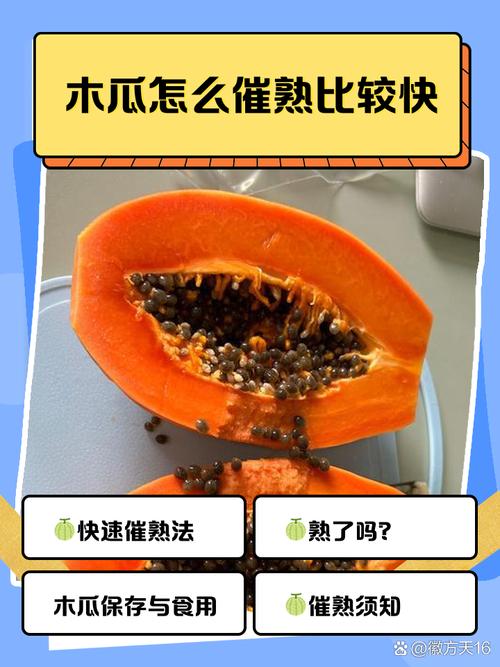 木瓜怎么判断熟不熟_看色按压闻香，绿皮综合判断，未熟不可食