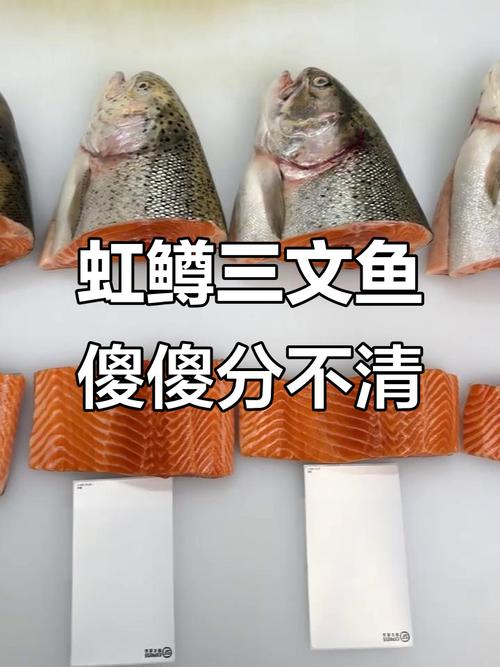 虹鳟三文鱼肉对比图_外形肉质口感大不同