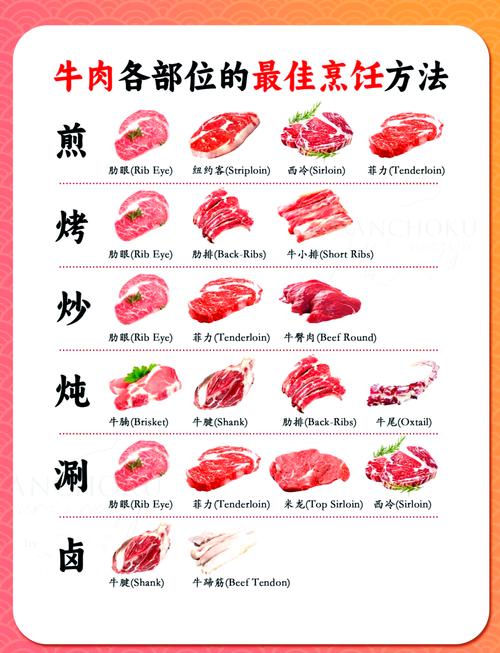 牛排部位名称大全图解_牛肉部位各不同，烹饪方式要选对！