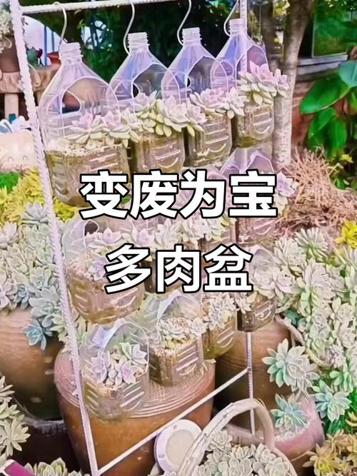 塑料盆子可以腌肉吗_玻璃陶瓷好，塑料金属要当心