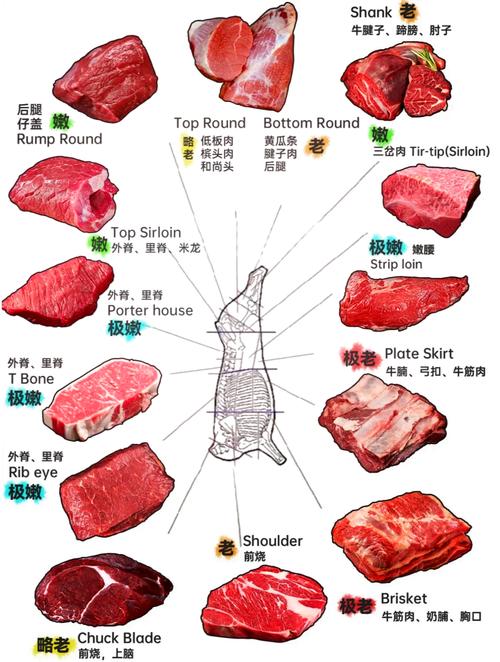 牛展肉部位大全图解_牛腱炖煮好食材，部位不同做法妙
