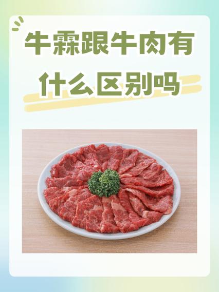 牛霖肉为什么那么便宜_便宜耐煮，火锅烧烤好选择