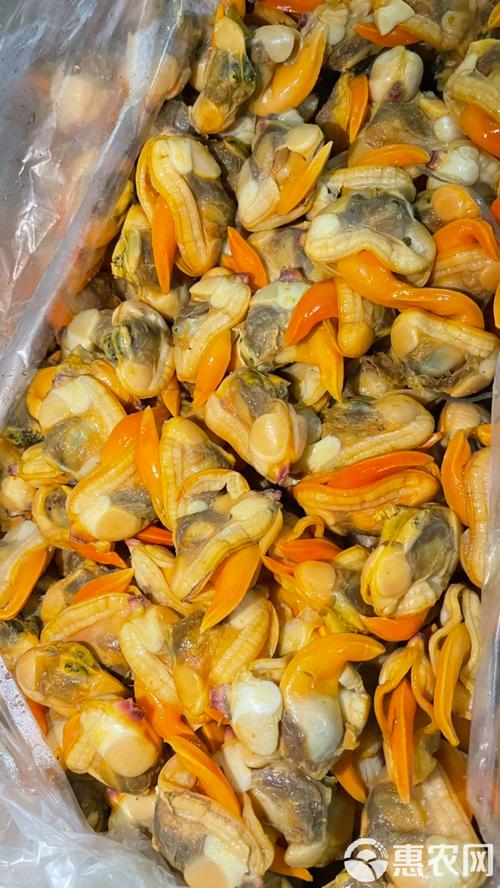 小贝壳肉叫什么_鲜嫩营养，海鲜美味！