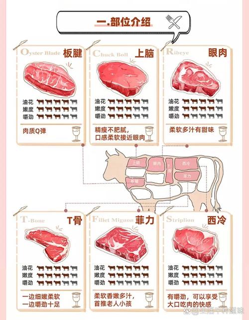 牛排部位名称图解_菲力西冷眼肉怎么选？