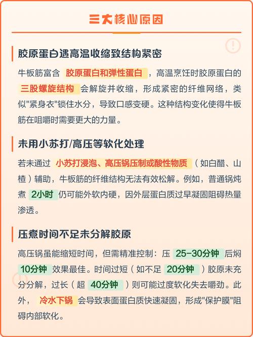 牛板筋为什么越压越嚼不动_牛板筋嚼不烂？教你切对炖好软糯香！